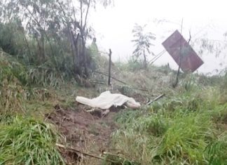 The dead mans body, metres away from the main road.